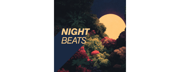 Logo della radio Radio my105 Nightbeats